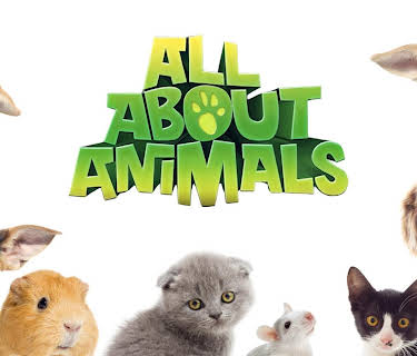 All About Animals