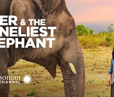 Cher & the Loneliest Elephant (2021)