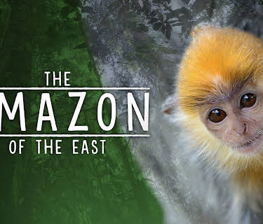 The Amazon of the East