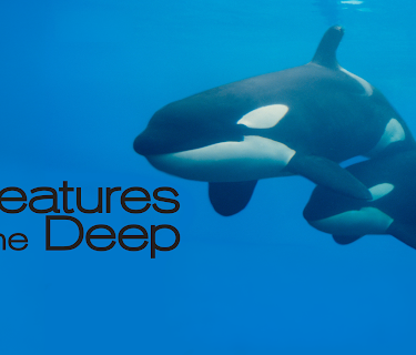 Creatures of the Deep Season 1
