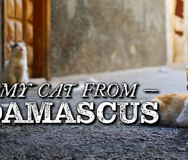 My Cat from Damascus (2025)
