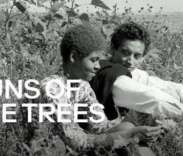 Guns of the Trees (1961)