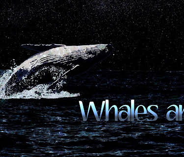 Whales and I
