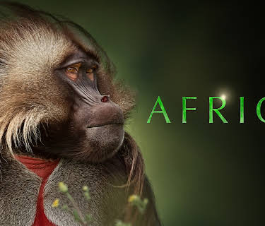 Africa Season 1