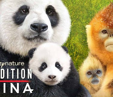 Disneynature Expedition China (Theatrical Version) (2017)