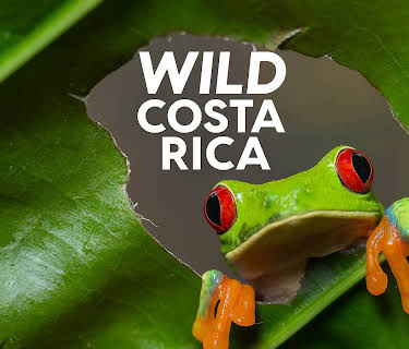 Wild Costa Rica