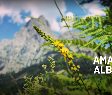 Amazing Albania