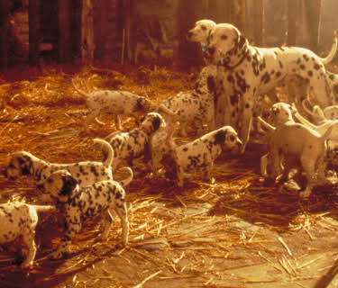 101 Dalmatiner (1997)