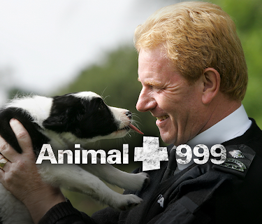 Animal 999