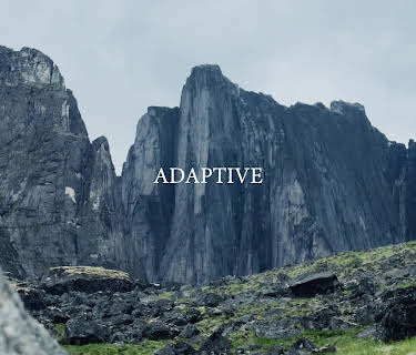 Adaptive