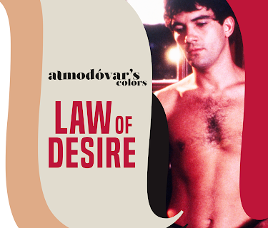 Law of Desire (1987)