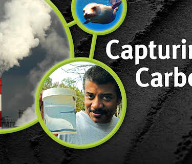Capturing Carbon (2005)