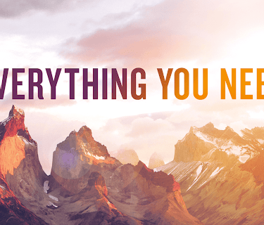 Everything You Need
