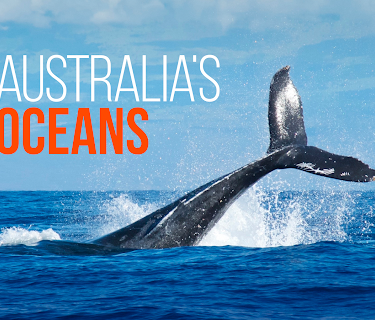Australia's Oceans