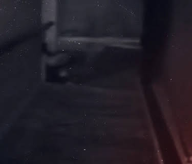 An American Murder Mystery: The Staircase