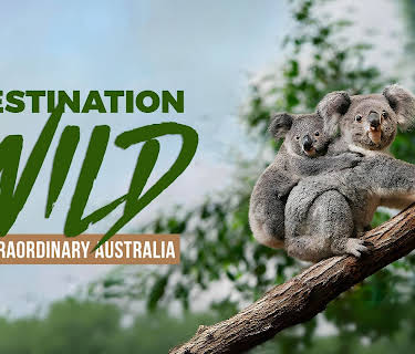 Destination Wild Extraordinary Australia