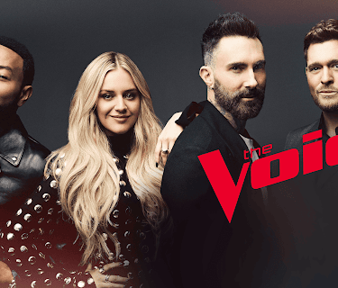 The Voice S27