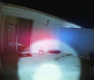 The Perfect Neighbor (2025)