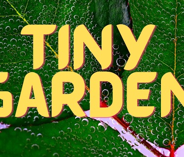 Tiny Garden