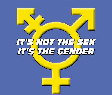 It's Not the Sex...It's the GENDER (2015)