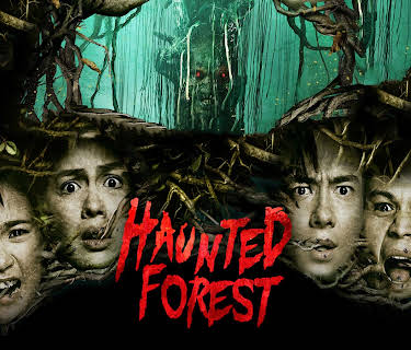 Haunted Forest (2017)