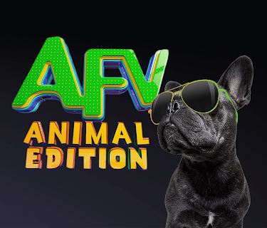 America's Funniest Home Videos: Animal Edition Season 1
