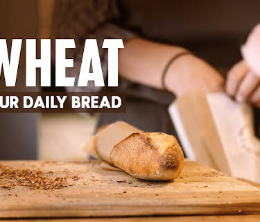 WHEAT OUR DAILY BREAD (2024)