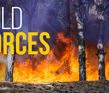 Wild Forces