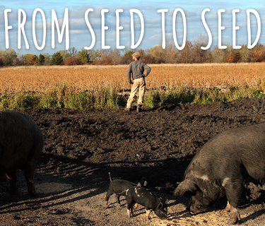 From Seed To Seed (2018)