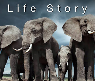 Life Story Season 1