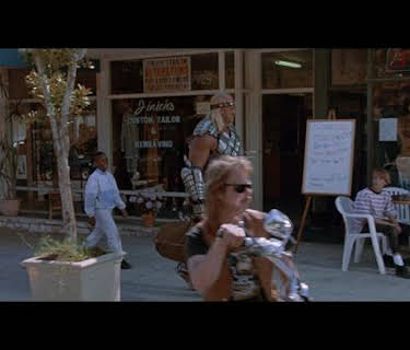 Suburban Commando (1991)