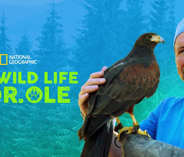 The Wild Life of Dr. Ole
