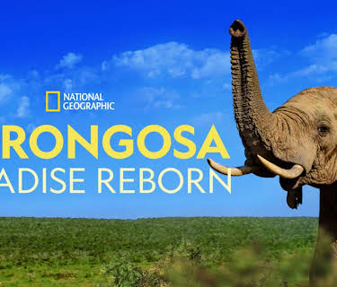 Gorongosa: Paradise Reborn