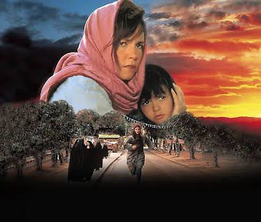 Not Without My Daughter (1991)