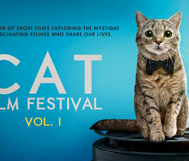 Cat Film Festival Vol. 1 (2020)
