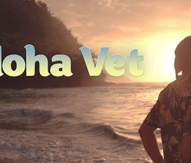 Aloha Vet Season 1