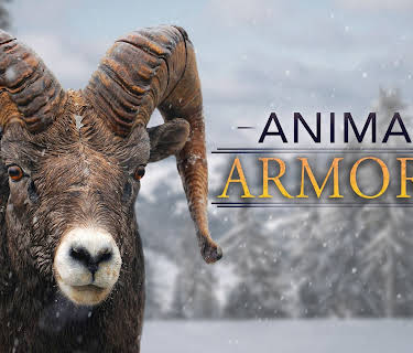 Animal Armory Season 1