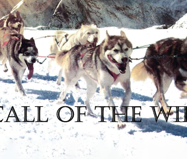 Call of The Wild