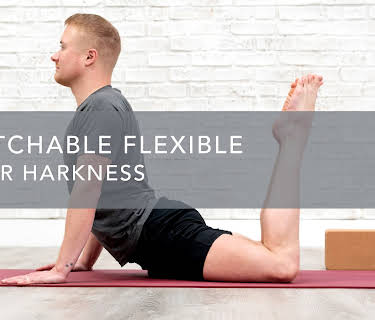 Stretchable Flexible (2022)