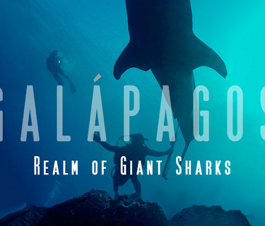 Galapagos: Realm of Giant Sharks (2012)