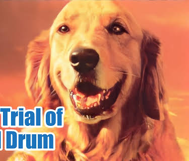 The Trial of Old Drum (2000)