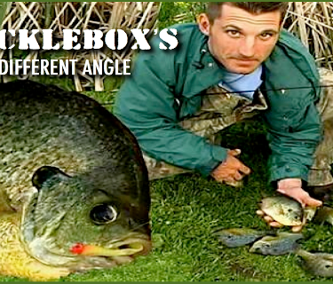 Tacklebox's Different Angle