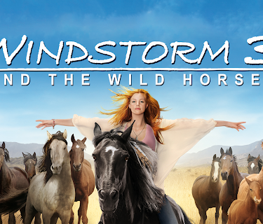 Windstorm 3 (2017)