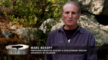 Marc Bekoff