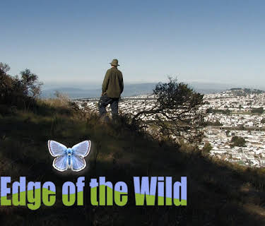 The Edge of the Wild (2015)