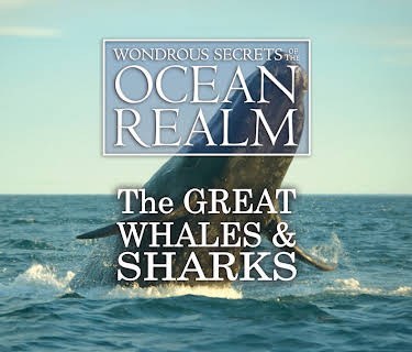 Wondrous Secrets of the Ocean Realm: The Great Whales & Sharks (2006)