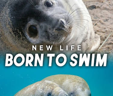 New Life: Born to Swim (2015)