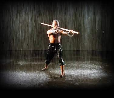 The 36th Chamber of Shaolin (1979)