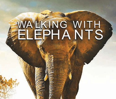 Walking with Elephants (2024)