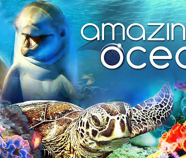 Amazing Ocean (2012)